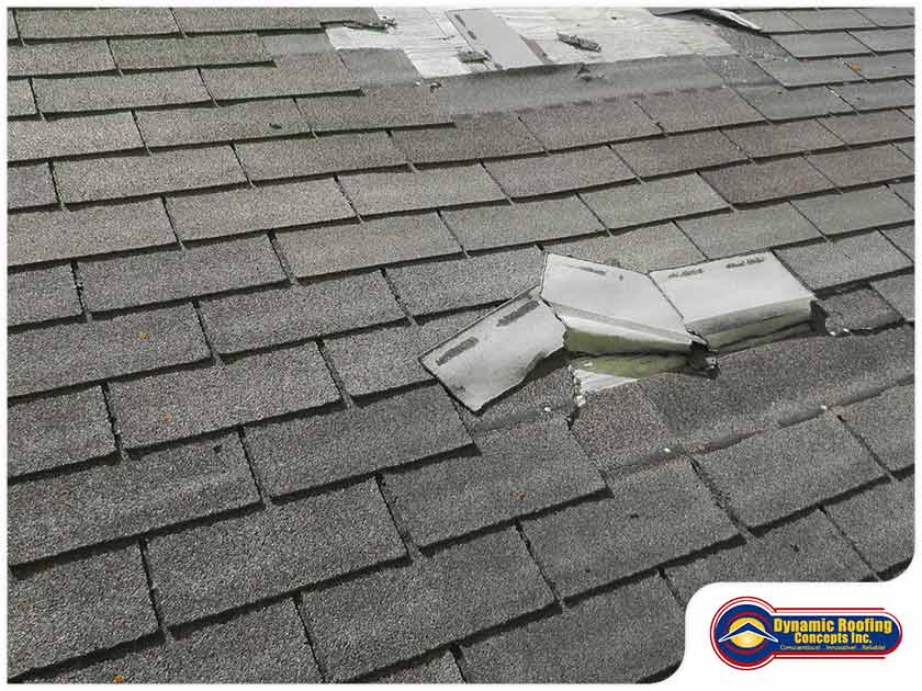 4 Things to Do When a Tree Falls on Your Roof