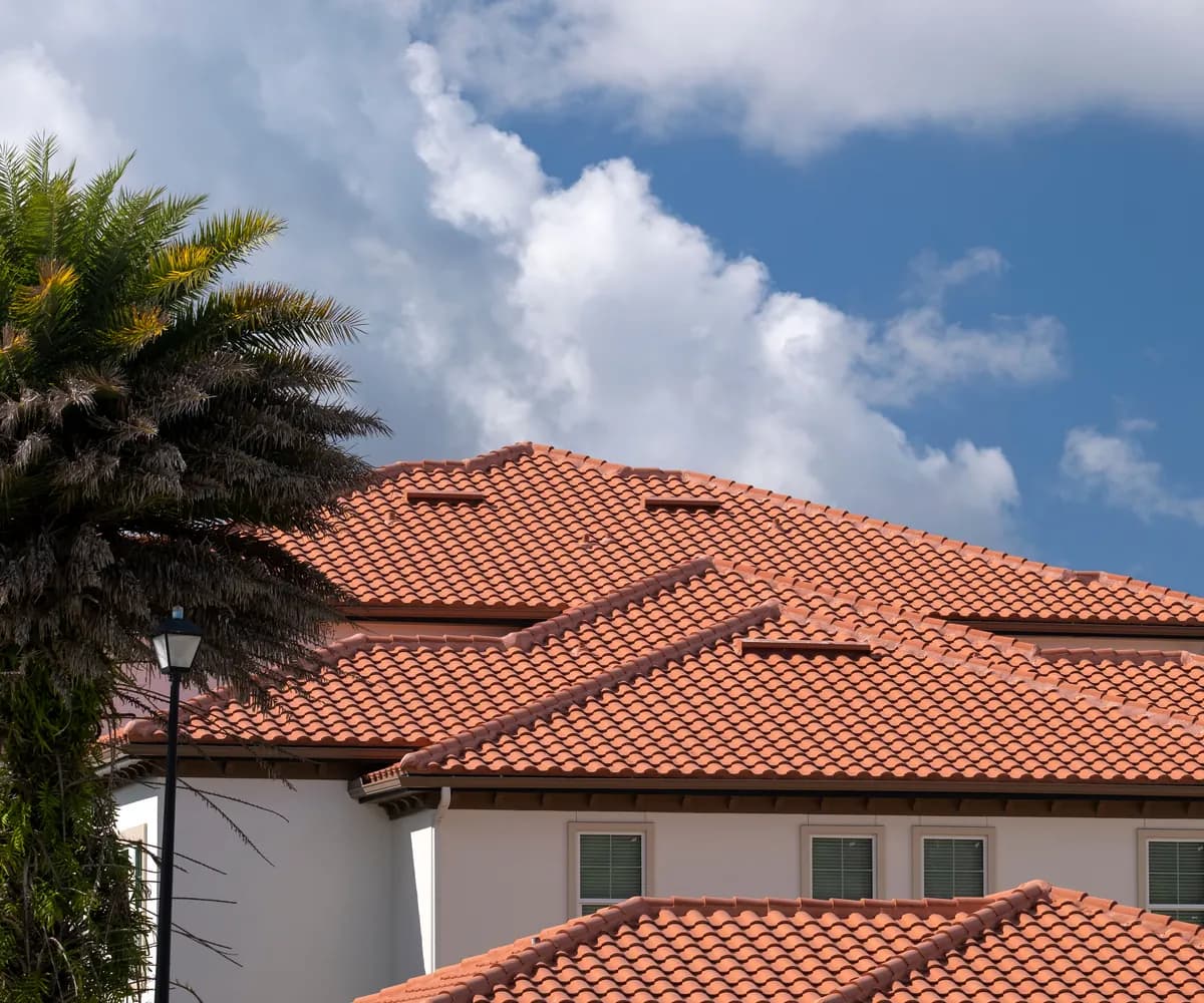 Tile roof on a stucco Florida home with a palm tree