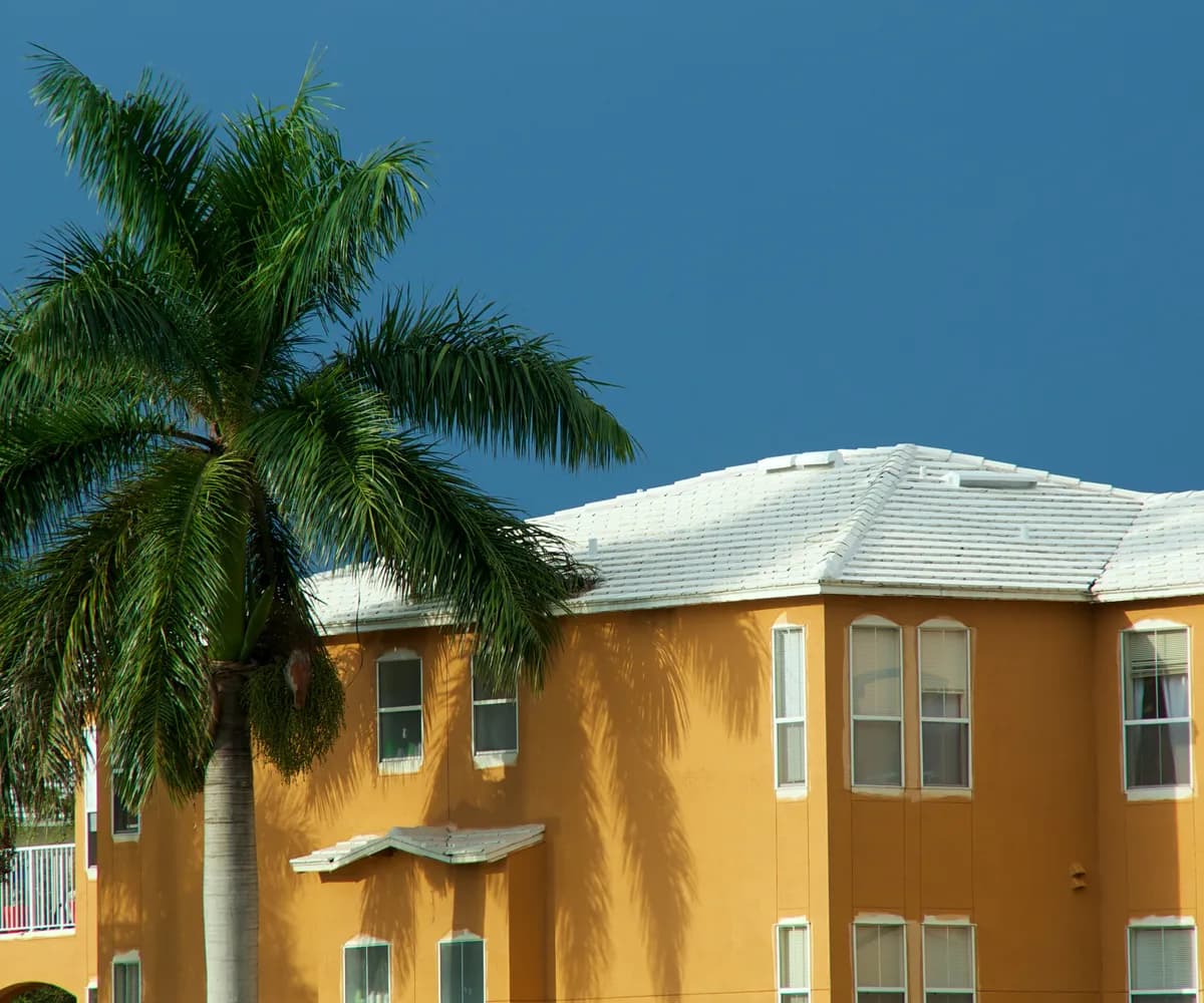 Stucco building with a white tile roof and a royal palm