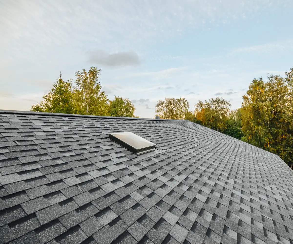 Shingle roof shaded by trees