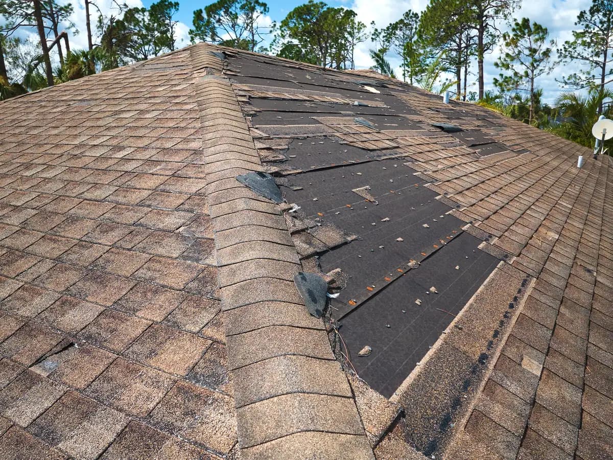 Shingle roof with storm damage and missing shingles