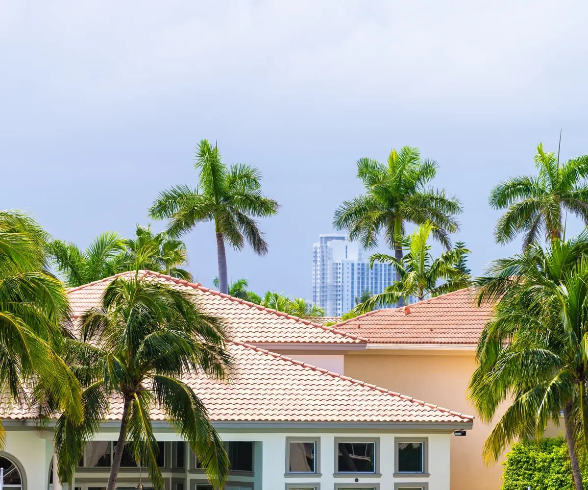 Tile-roofed homes among palms, with city towers behind