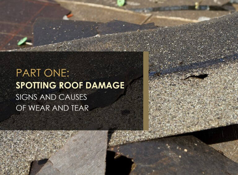 A Guide to Spotting Roof Damage Part 1 Spotting Roof Damage Signs and Causes of Wear and Tear
