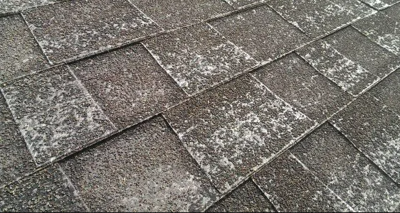 Granule Loss Is it Time for a Roof Replacement