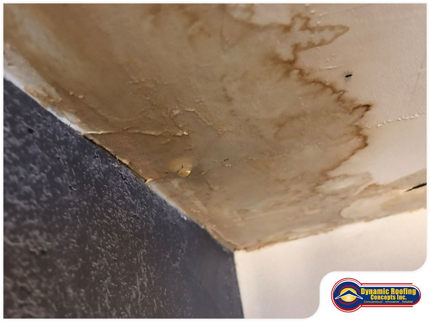How Humidity Can Impact Your Roof