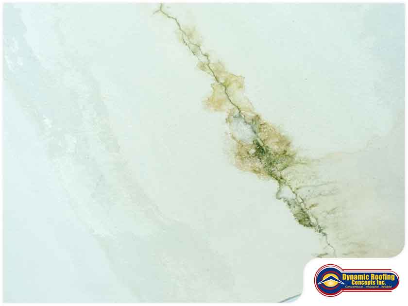 How Your Roof Can Be Vulnerable to Excess Humidity