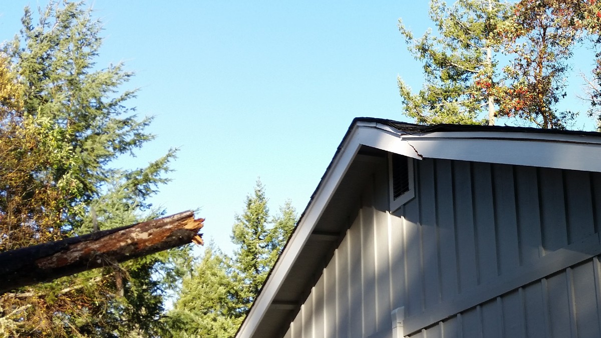 How to Address Wind Damage