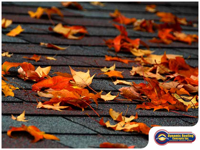 Roofing Maintenance Best Practices for the Fall Season