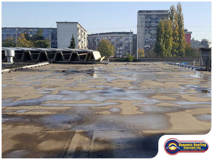 The Most Common Causes Of Commercial Roof Damage