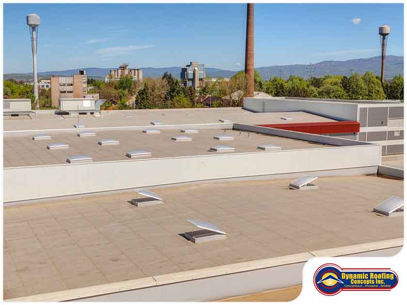 What You Need to Know About Commercial Roof Management