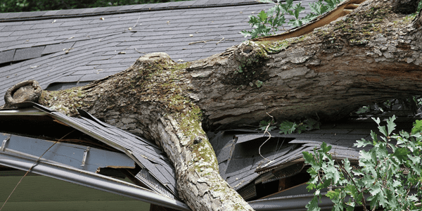 Emergency Roofing Brandon, FL