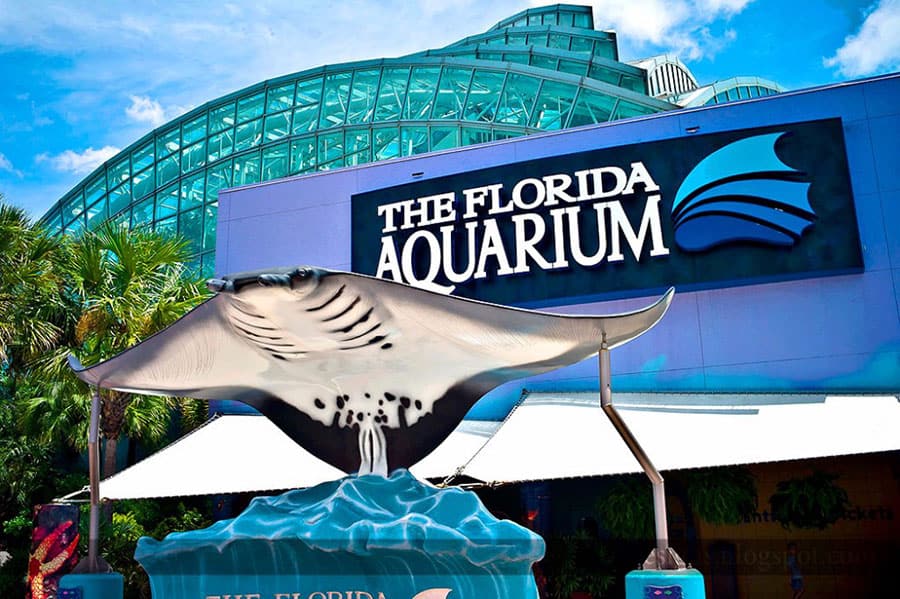 the-florida-aquarium-tampa