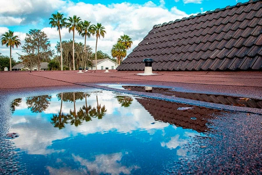 preventing fixing ponding water flat roofs brandon fl
